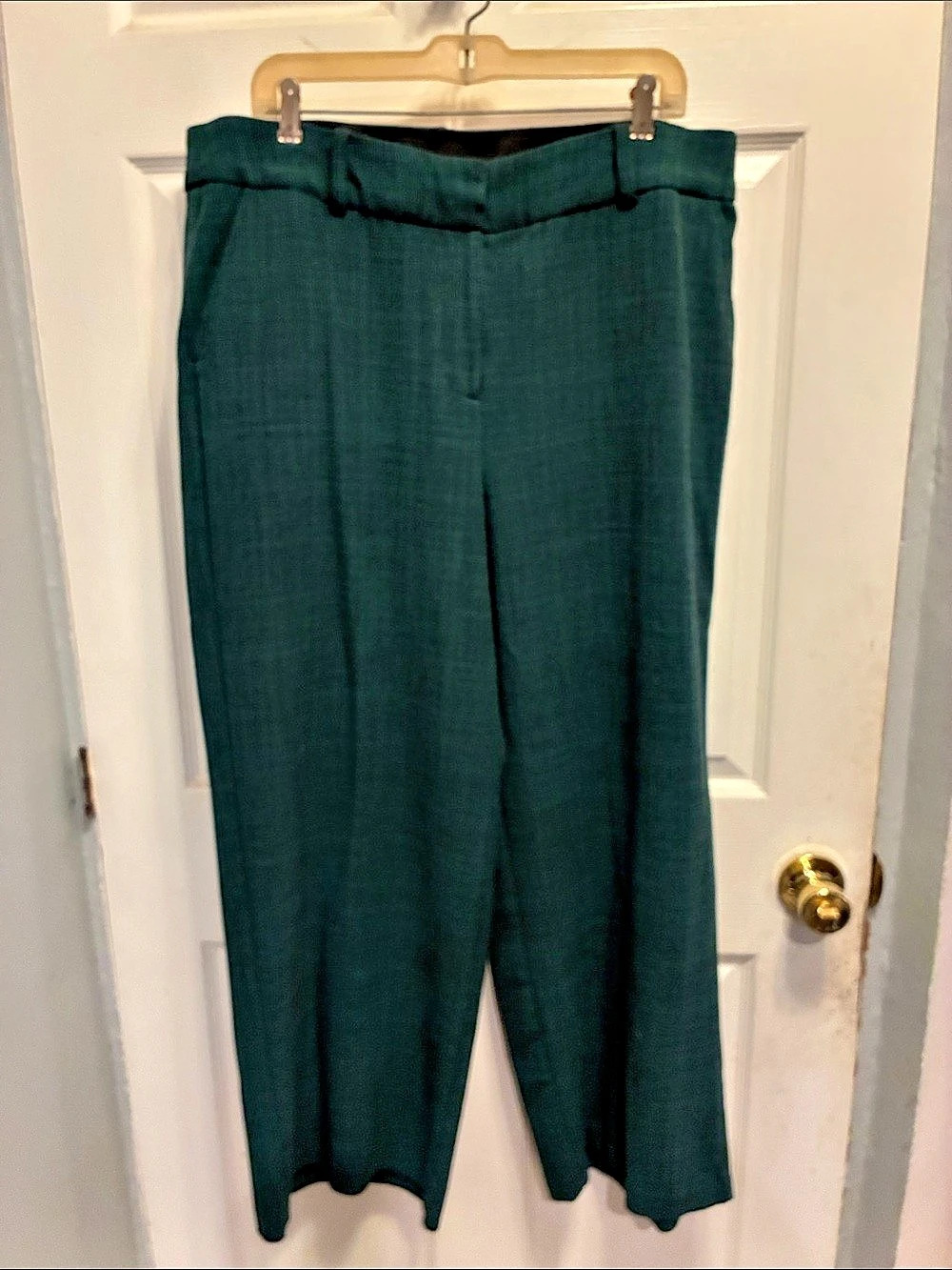 Lane Bryant Wide Leg Pants in Green Size 16S Like New